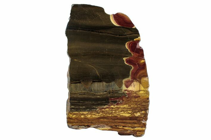 Polished Packsaddle Tiger Eye Slab - Western Australia #260895